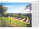 Winzeratlas 2025 Printbuch