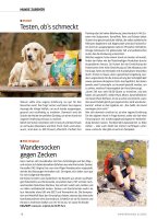 Camper-Dogs 03/2025 E-Paper