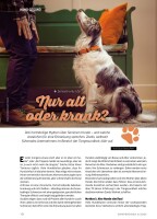 Camper-Dogs 04/2025 E-Paper