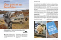 Camper-Dogs 04/2025 E-Paper