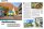 Reisemobil International 11/2025 E-Paper oder Printausgabe