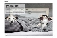Camper-Dogs 06/2025 E-Paper