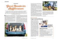 Camper-Dogs 06/2025 E-Paper