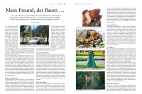CampingImpulse 6/2025 E-Paper oder Print-Ausgabe