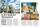 Camping, Cars & Caravans 08/2025 Print-Ausgabe