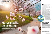 Reisemobil Caravan 05/2026 E-Paper oder Printausgabe