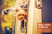 Camper-Dogs 03/2026 E-Paper